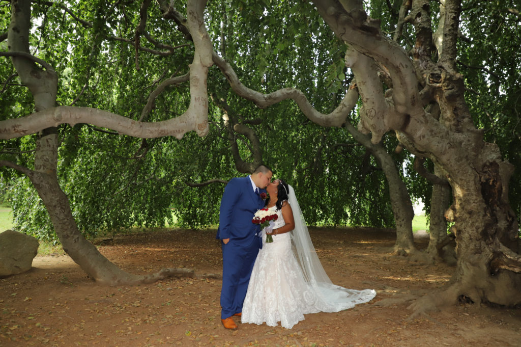 Couple under tree limbs - White Mountains Wedding Photography